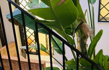 Lavica Di Mezzo Apartments - Foto 63