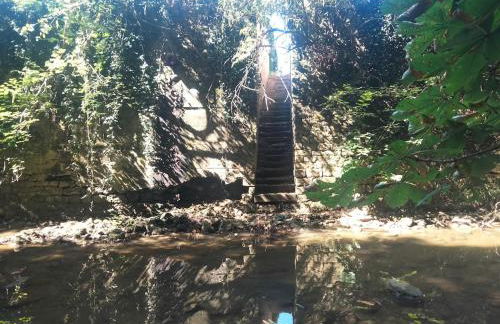 Appartement au bord de l'Yxeure au rez de chaussée avec terrain - Foto 13