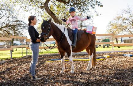 Auszeitgarten - Urlaub im Tinyhaus im Herzen von Oberschwaben - Foto 9