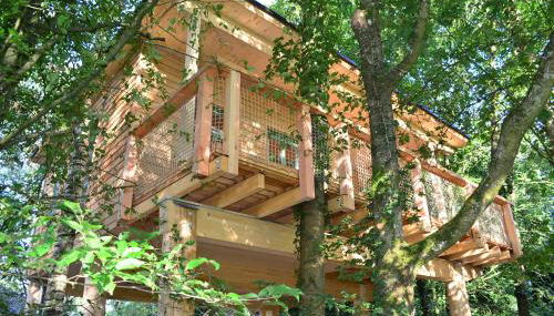 MainBaumhaus - Foto 4