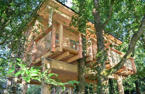 MainBaumhaus - Foto 4