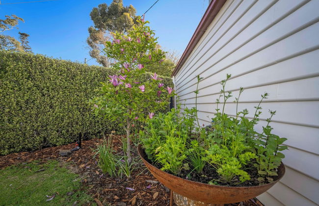 Beach Haven - Gorgeous 2 Bedroom House - Foto 42