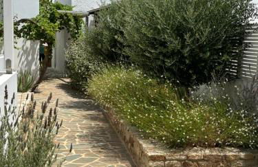 Levanda Guest Houses - Foto 29