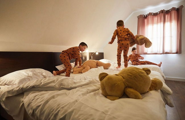 Beautiful Farm Villa With Large Garden in Limburg - Photo 3