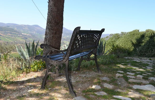 Agriturismo Villa Rosetta - Photo 56