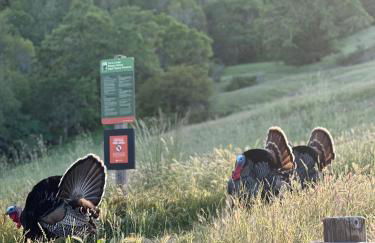 Private Luxury Suite with Views Near SF & Wine Country - Foto 46