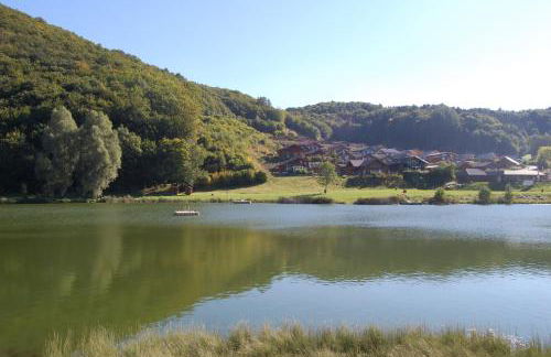 Holunder nah am Waldsee 3 - Foto 21