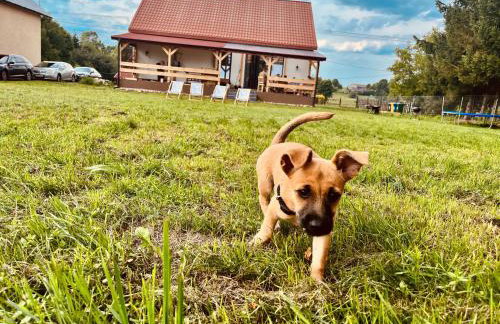 Siedlisko Stara Poczta Podlasie z jacuzzi, basenem i dużym ogrodem - Foto 56