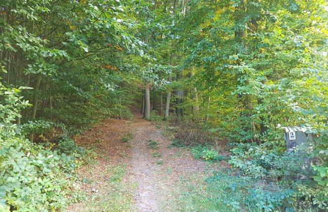 Lovely Apartment in Extertal - Foto 24