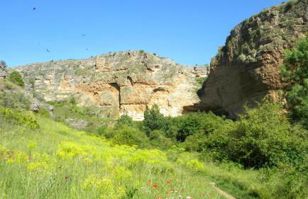 El enebrón - Hoces del río Duratón - Foto 10
