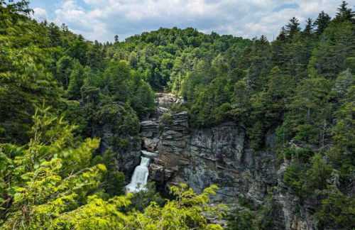 The Toasted Marshmallow 2 Kings Fire Pit Hiking - Foto 41