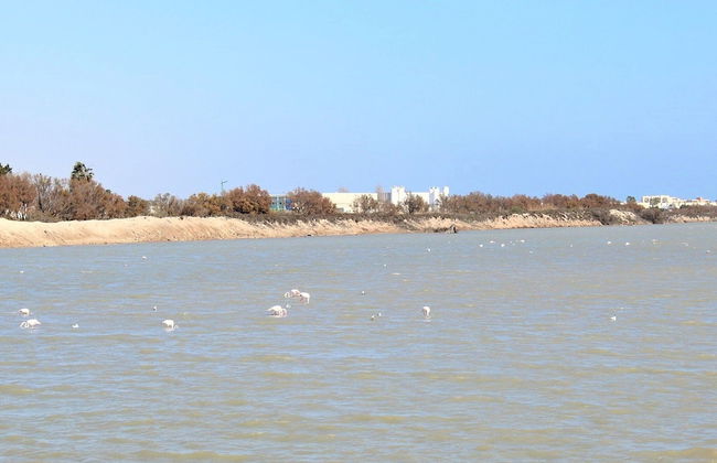 Penthouse in Sucina With Pool and Golf - Foto 22