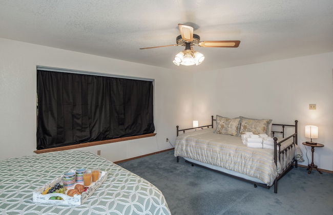 Jack Little - Foto 9