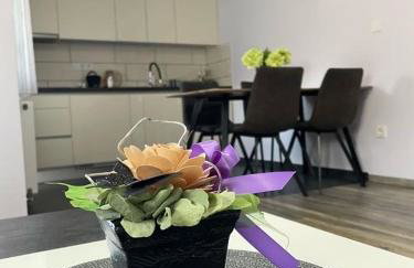 Apartments Dora Sveti Martin na Muri - Foto 4