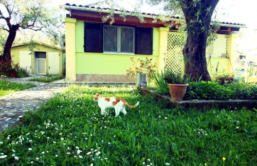 Green House!!! - Foto 37