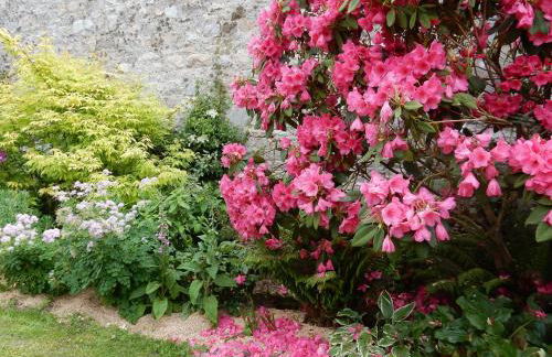 Gite les coquelicots Proche mer - Photo 36