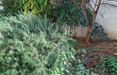 Aura Estiva - Foto 39