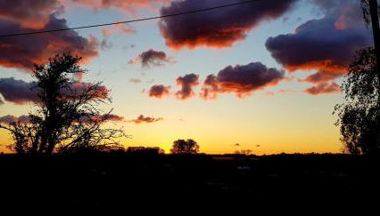 Ferienwohnung Thees - Foto 3