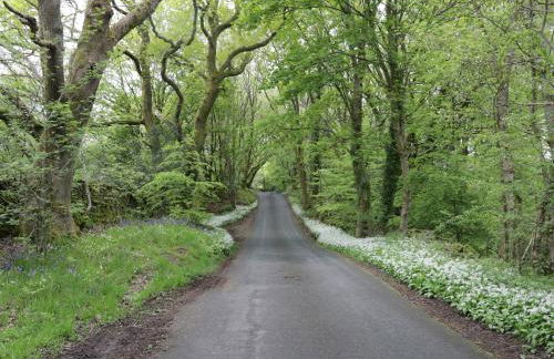 Rolo's Retreat - Foto 39