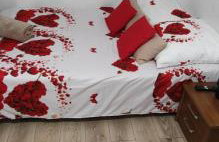 Apt FIONA2 Centrum700m Parking Bezpłatny Monitorowany Salon TV Sypialnia Tv Łazienka Kuchnia Rekuperacja - Photo 42