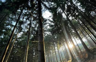 Drewniany dom w brzozowisku - Foto 51