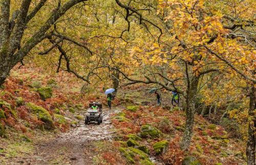 Casa Rural ARBEQUINA & Esquí La Covatilla - Foto 3