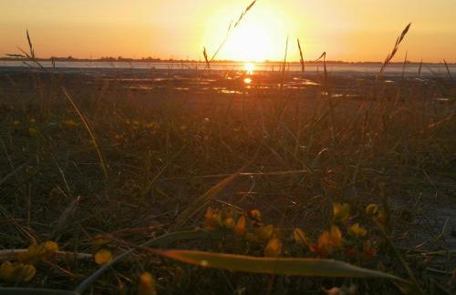 Ferienwohnung Lena - Foto 23