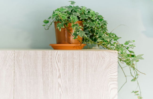 Flea Market Studios - Foto 6