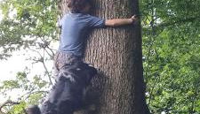 Dépendance du château de Remehan rénovée avec goût - Foto 5