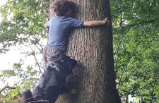 Dépendance du château de Remehan rénovée avec goût - Foto 5