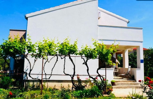 Nick - With Barbecue - A1 - Foto 19