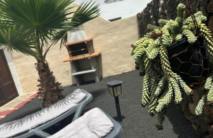 Mardelava - Photo 37