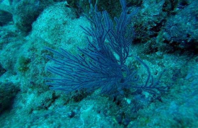 Salango Island Tour - Photo 4