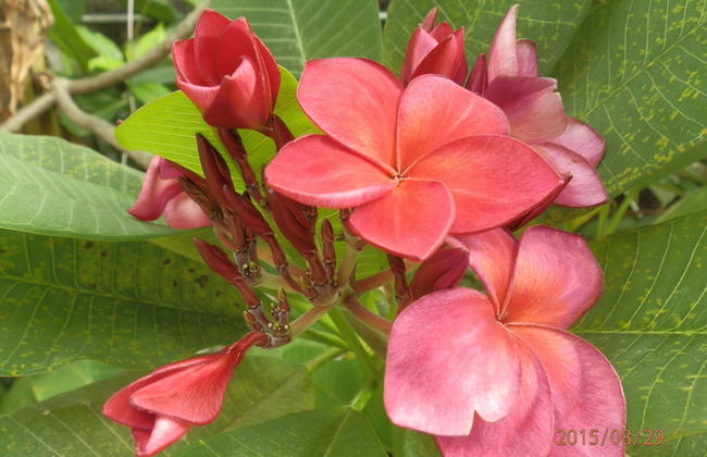 Sandy Serviced Apartment - Foto 56