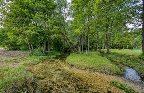 Holiday home Veki*** - Foto 38