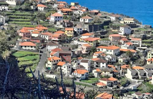 Cozy Studio - Chalé Seixal - Foto 5