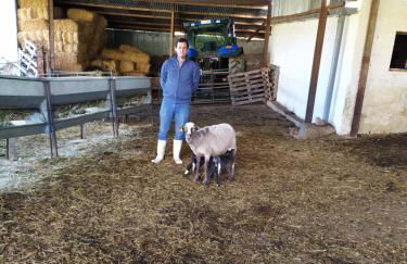 cortijo la laguna - Foto 21