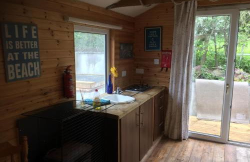 the lodge - Photo 13