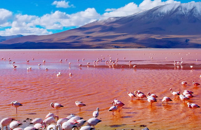 Tour di 4 giorni da Uyuni a La Paz - Foto 8