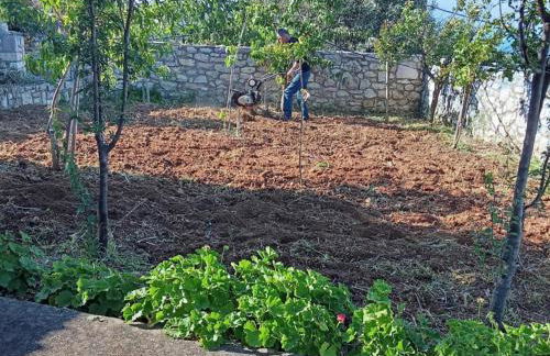 Apartment Areti - Foto 11