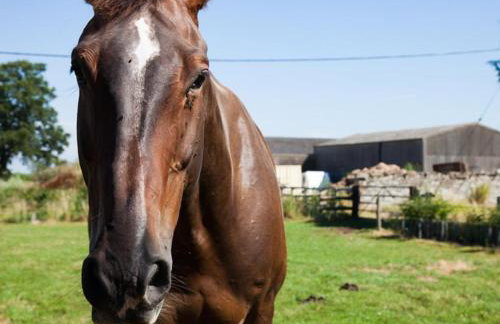 2 Bed in Thame oc-cc068 - Foto 30