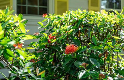 Siesta Key under The Banyan Tree 3 bed 3 bath - Foto 11