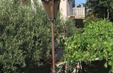 Apartments Wagner - Photo 6