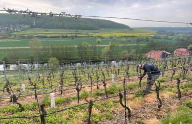 Ferienhaus Traminer im Weinberg - Foto 16