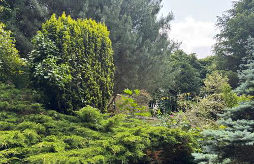 La Chaumière Luxury Domain with 2 Apartments Spa and Pool near Disneyland - Foto 26