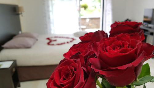 Résid'Spa Loire & Sèvre - Photo 3