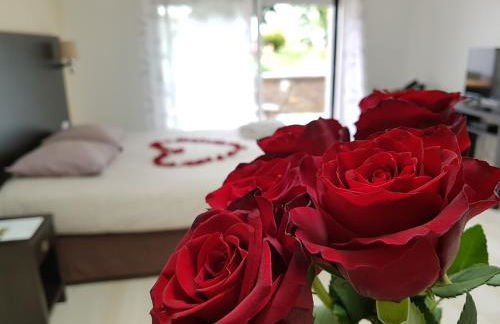 Résid'Spa Loire & Sèvre - Photo 3