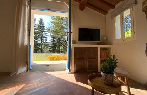 Monte Pino - Photo 4