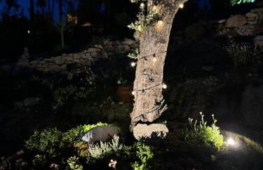 Quinta Santo Antonio - Foto 40