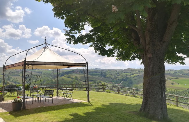 Bricco Rosso - Foto 28